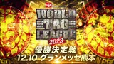 [NJPW] WORLD TAG LEAGUE 2023 FINAL - Day 16 (JAP) | December 10, 2023