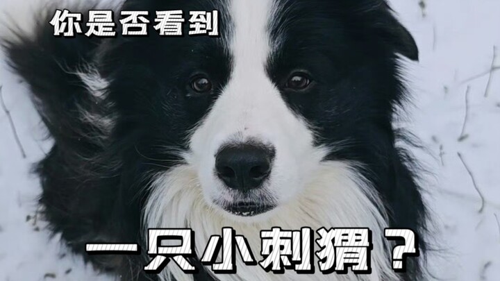 Xin lỗi vì đã làm phiền bạn, chúng tôi sẽ rời đi ngay!