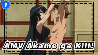 [AMV Akame ga Kill!] Epik / Menyedihkan / 
Memeluk Akame dan Pergi Diam-diam_1