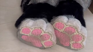 من الذي أرسلني بالضبط؟؟؟