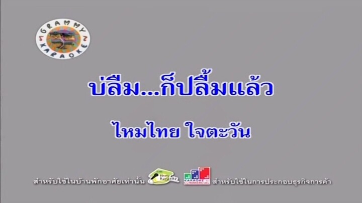 บ่ลืม...ก็ปลื้มแล้ว - ไหมไทย ใจตะวัน