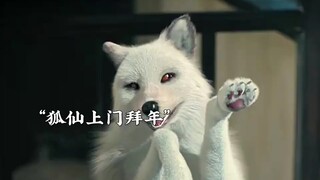 Hai người bạn yêu quái ngàn năm, không ngờ còn phiền hơn cả con người#