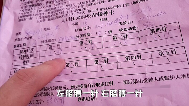 โดนหมากัด!