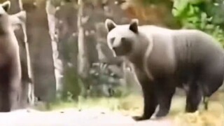 Tôi nghe nói anh giỏi chiến đấu phải không?