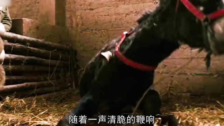 The feud between a man and a donkey