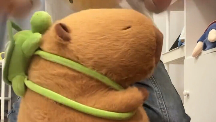 คงไม่มีใครที่ยังไม่มีคาปิบาราอารมณ์ดีสักตัวหรอกนะ