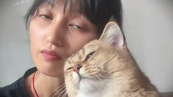 The son chose the dad who lives a good life, while only the family cat chose itself.
