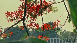 Bangladesh Is Beautiful