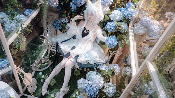 เมื่อความนิยมจางหาย... ฉันใช้เวลาหนึ่งปีกว่าจะทำเพลง “Arknights Bonly” เสร็จ สุนัขแมว เราจะรักเธอตลอ