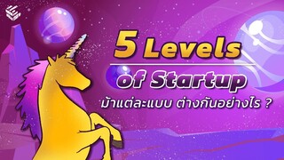 รู้จักระดับสตาร์ทอัพ ม้าแต่ละแบบต่างกันอย่างไร #Thejourneyofmarketingskillsforstartup