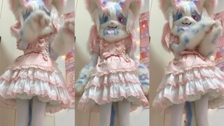 Do you like maid cats?