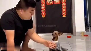 狗：完犊子了，好像演过头了