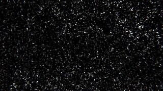 all of us are dead ep 10 (English subtitles)