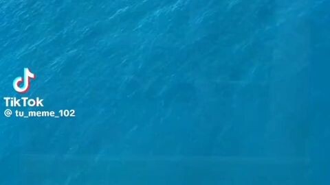 memesfunnyvideo