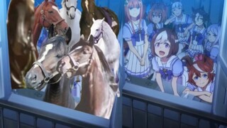 สู้เพื่อฝันพระราชาสาวเดอร์บี้ ซีซั่น 1 OP Real Horse Version