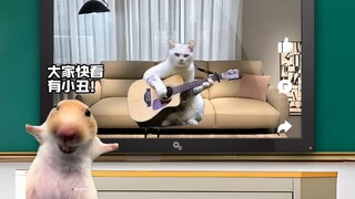 เมื่อคู่ปรับตัวฉกาจมาเจอวิดีโอของคุณระหว่างพักเรียน