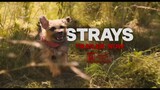 Strays Watch full moive free, link in the description