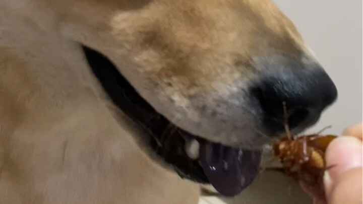 Are you sure you don’t want to eat it?