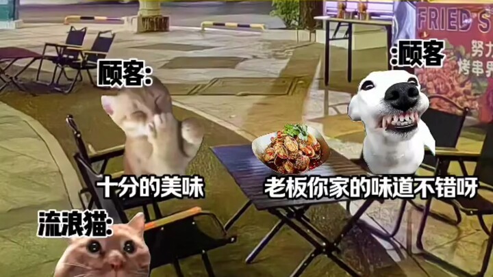Kitty: Isn’t it supposed to refresh the food as soon as I sit down?