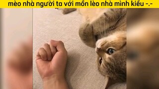 mèo nhà người ta cute dễ thương, mồn lừo nhà mình chả khác gì giặc😑