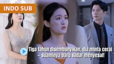 3 Tahun Dinikahi Diam-diam, Ternyata Dia Masih Cinta Mantan… Saat Aku Minta Cerai, Dia Baru Nyesel!