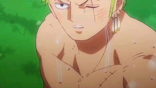LIHATLAH SIHUNTER PIRATE ZORO