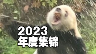 【Animal Dubbing】 adalah koleksi tahun 2023 ahh ...