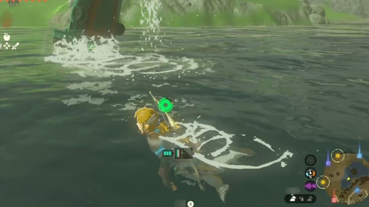 [Nước mắt của Vương quốc] Kỷ niệm lần đầu tiên tôi nhìn thấy một con cá heo ở Zelda! !