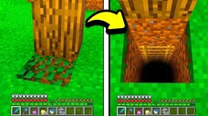 The Secret Nametags in Minecraft! ⛏️