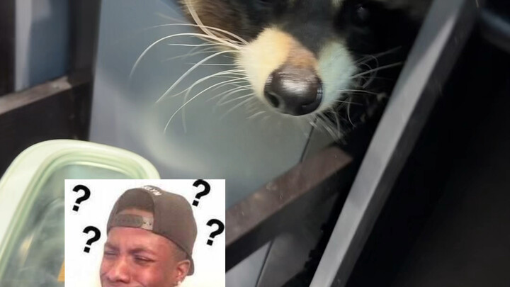 It's fine that Yaobao went in, but how did Xiaoxiao squeeze herself in?