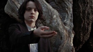 【Severus Snape】A Dirty and Noble Life