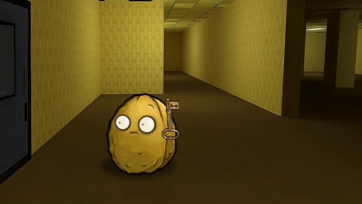 การผจญภัยในห้องหลังบ้านของนัทและเอรี 2.0