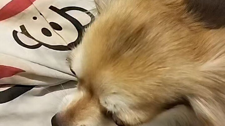 มัคคิครับ#นักบูลลี่อันดับ1#สัญญาว่ารอบนี้จะทำให้ดี#😭🙏🏿#คนดำ