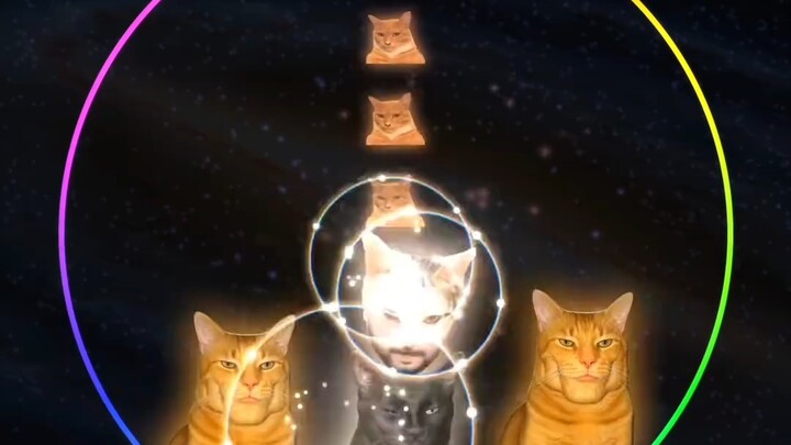 Piles and Evolution of Cats. #GeometricShapes #StressRelief