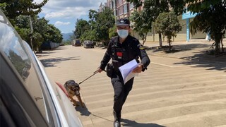 Bahkan tidak bisa duduk, tetapi menjadi anjing polisi seharian?