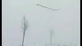 “某男子拍到疑似龙的照片”