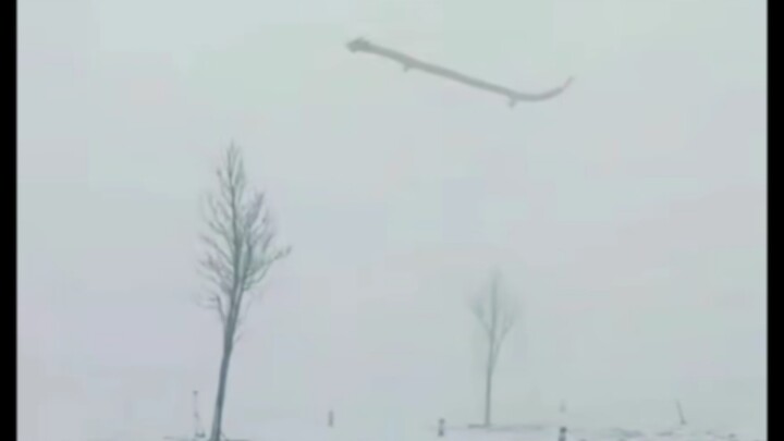 رجل يلتقط صورة يُعتقد أنها لتنين