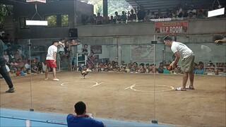 insurance agad pilay ang kalaban