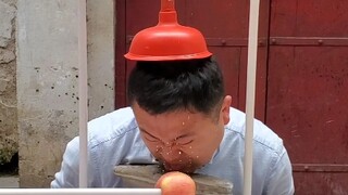 Mesin bantu makan apel! Penemuan paling berguna!