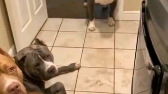 เข้าบ้านผิดชีวิตเปลี่ยน