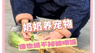 Grandma: Look how hungry the kid is! #Funny #Grandma'sLove #EntertainmentReviewAwards #WayTooReal #I