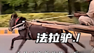 ฟาราห์ลาตัวน้อยมาแล้ว ทุกคนหลบไป