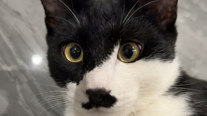 لا بدّ من القول إن هذه الحيلة قاسية حقًا!