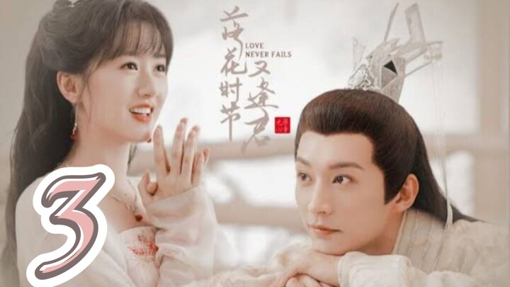 3/40 ~ Love Never Fails 2025  🇨🇳