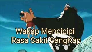 Mencicipi Rasa Sakit Dan Lelah Luffy