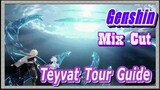 [Genshin  Mix Cut]  Teyvat Tour Guide