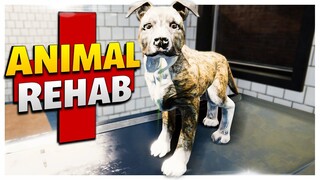 Animal Rehab in the NEW CLINIC Saves Lives // Animal Shelter Simulator