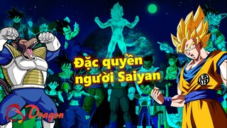 10 đặc quyền mà bạn có thể có được khi trở thành người saiyan