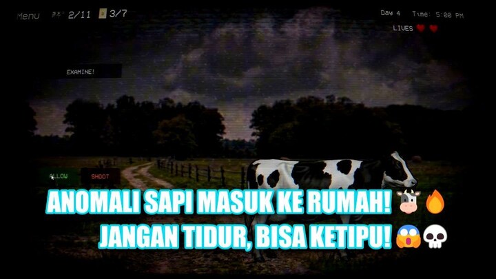Pengejaran Oleh Sapi Anomali Yang Mengamuk
