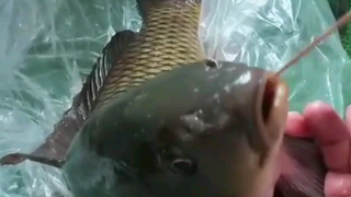 你的核酸做了没？